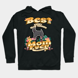 Best Kerry Blue Terrier Mom - Dog Mom, Dog Owner Gifts Hoodie